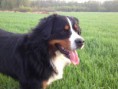 /album/fotogalerie-eliot-2a-pul-roku/obrazek-1-jpg1/